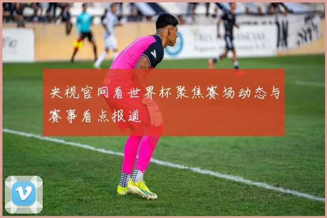 央视官网看世界杯聚焦赛场动态与赛事看点报道