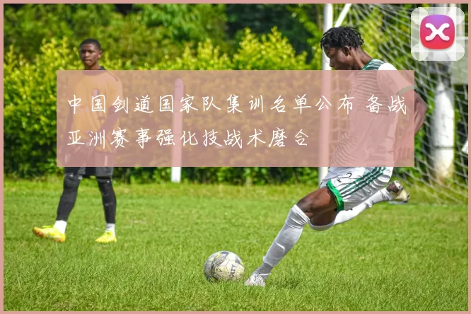 中国剑道国家队集训名单公布 备战亚洲赛事强化技战术磨合