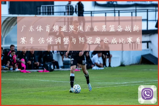 广东体育频道聚焦广东男篮备战新赛季 伤停调整与阵容磨合成比赛看点