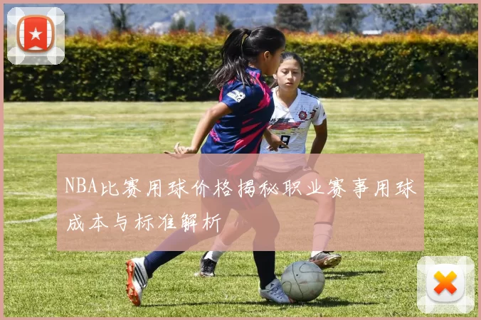 NBA比赛用球价格揭秘职业赛事用球成本与标准解析